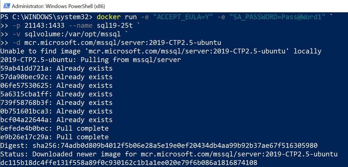 Command window with docker running sql server image.