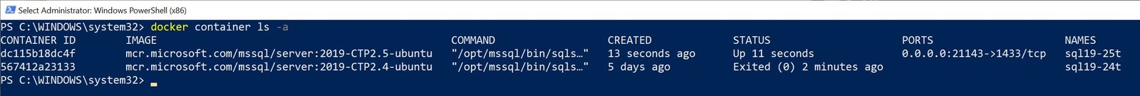 SQL Server container showing images and commands.