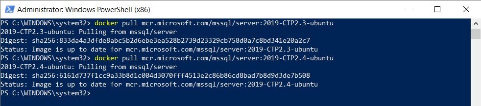 Windows PowerShell window.
