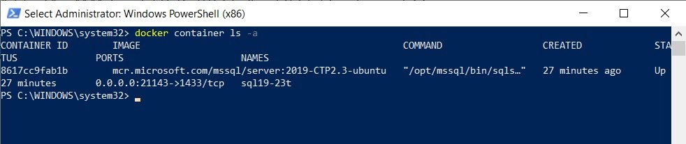 Docker container in PowerShell.