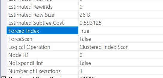 Forced Index in SQL Server Tool Window.
