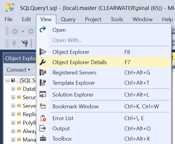 SQL Server Object Explorer.
