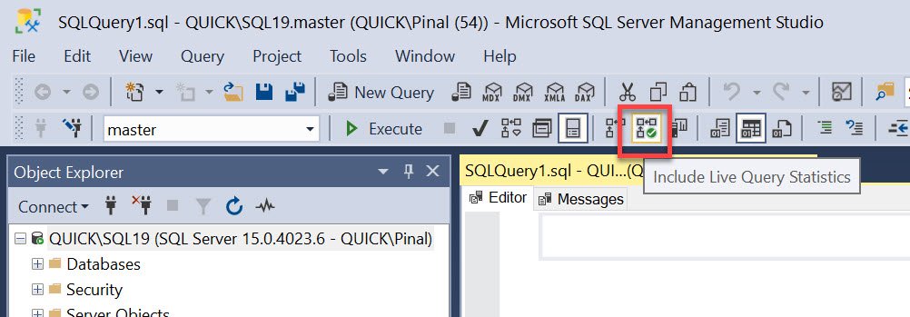Query Window with Include Live Query Statistics check box.