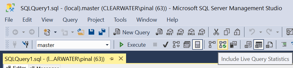 Editor - Execute Query.