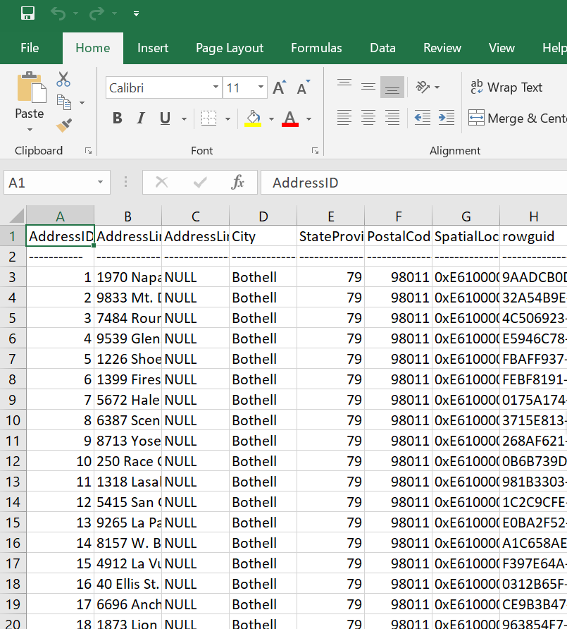 Excel Data Sheet Window.