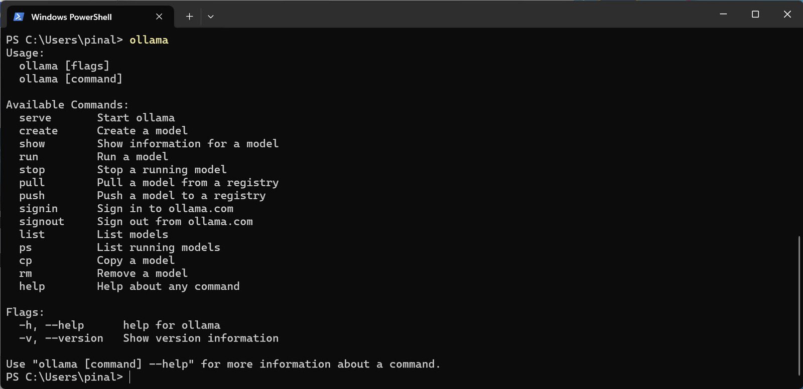 Technical SQL Server local AI models guide.